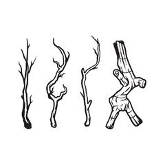 Hand drawn branch illustrations