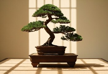 Bonsai Serenity: A meticulously crafted bonsai tree, showcasing its intricate branches and lush foliage, sits serenely on a low stand, bathed in soft sunlight. Ai generated image