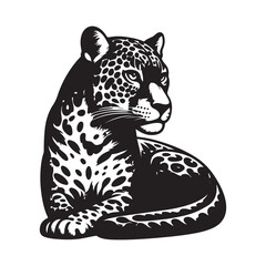 vector illustration of a tiger