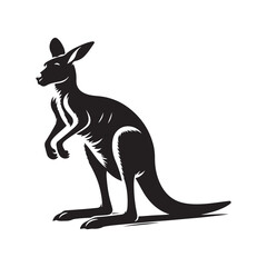 kangaroo vector illustration