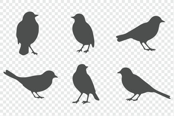 Set of bird silhouettes  in various poses isolated on transparent background.