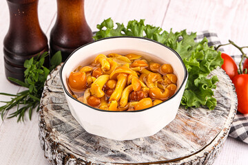 Marinated honey mushroom in the bowl