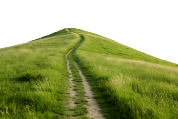 Winding path ascending a lush green hill isolated on transparent background