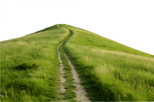 Winding path ascending a lush green hill isolated on transparent background