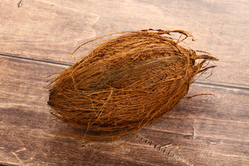 Natural exotic brown hairy coconut