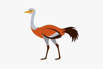illustration of an ostrich