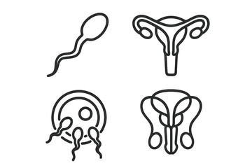 Illustration of human reproductive systems showcasing sperm, egg, and uterus in a clear scientific style