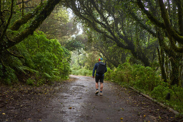 Obraz premium Photographer hiking in rainy Anaga forest