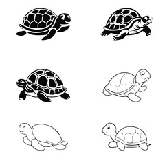 vector illustration of a turtle