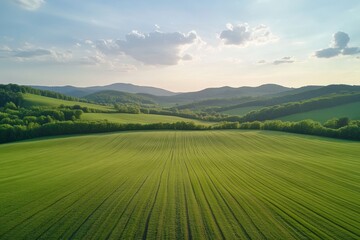 Obraz premium Breathtaking aerial view of lush green hills scenic landscape nature tranquil atmosphere remote location