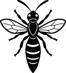 vector illustration of a wasp