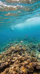 Fototapeta premium Underwater Coral Reef Ecosystem with Colorful Fish and Sunlight Rays