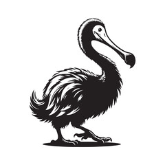illustration of a pelican