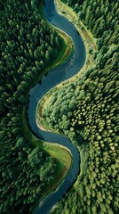 Aerial view of a winding river through a forest, creating natural symmetry and flow