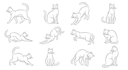 Line Art Illustration of Cats in Various Poses on Transparent Background