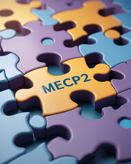 Fototapeta premium Visual representation of Rett syndrome genetics — broken puzzle with MECP2 piece absent, symbolizing a critical mutation