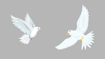 Flying two White doves.