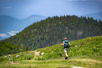 Adventurous hiker with backpack walking through wildflower meadow on mountain trail, surrounded by...