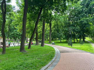 beautiful park and garden in the summer