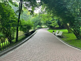 beautiful park and garden in the summer