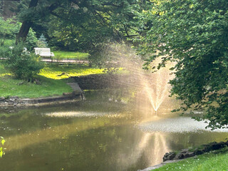 beautiful park and garden in the summer