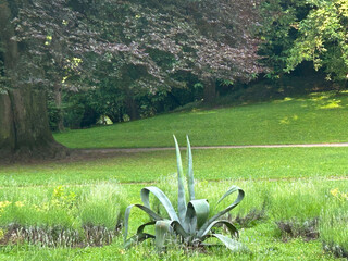beautiful park and garden in the summer