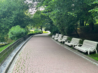 beautiful park and garden in the summer