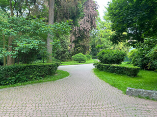 beautiful park and garden in the summer