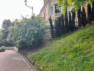 beautiful park and garden in the summer