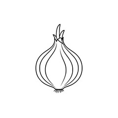onion vector illustration