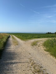 Weg der Entscheidung und Neuausrichtung