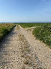 Obraz premium Entscheidungsweg, Feldweg