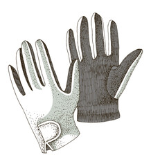 Equestrian riding gloves hand drawn illustration