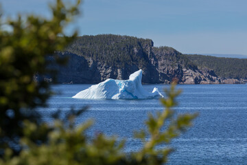 Iceberg of Icebergs at Newfoundland drifted from Greenland in summertime.