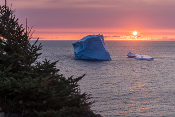 Iceberg of Icebergs at Newfoundland drifted from Greenland in summertime.