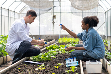 Researchers collected experimental results from vegetable plots in a temperature-controlled greenhouse, with children as research assistants.
