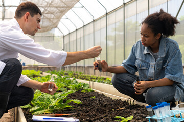Researchers collected experimental results from vegetable plots in a temperature-controlled greenhouse, with children as research assistants.