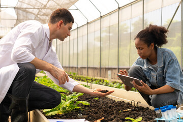 Researchers collected experimental results from vegetable plots in a temperature-controlled greenhouse, with children as research assistants.