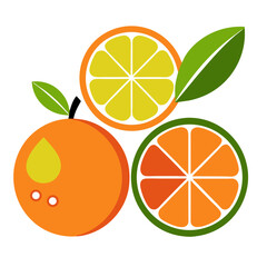 Minimalist Citrus Fruit Icons – Orange, Lemon, Lime, Grapefruit Vector Set
