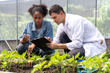 Researchers collected experimental results from vegetable plots in a temperature-controlled greenhouse, with children as research assistants.