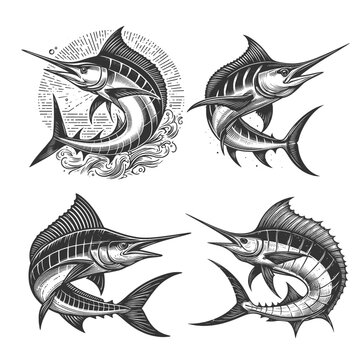 marlin fish Set collection bundle sketch engraving generative ai vector illustration. Scratch board imitation. Black and white image.