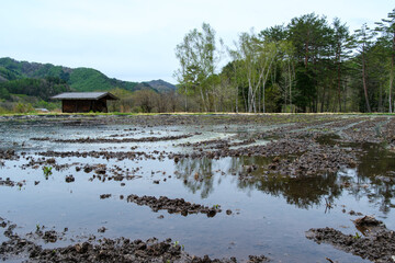 田んぼの水車小屋