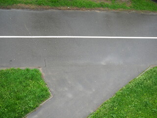 Green lawn mown grass top view