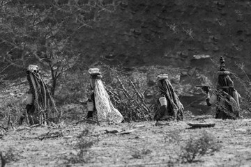 Group of Kutchi Tribal Women in Traditional Dress Walking to Collect Water at Sunset