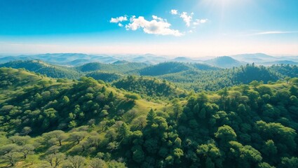 Fototapeta premium detailed futuristic cityscape, floating cyberpunk megalopolis, towering skyscrapers, glowing neon lights, hovering vehicles, lush overgrown bridges, sunlight peeking through misty atmosphere, dynamic 