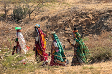 Group of Kutchi Tribal Women in Traditional Dress Walking to Collect Water at Sunset