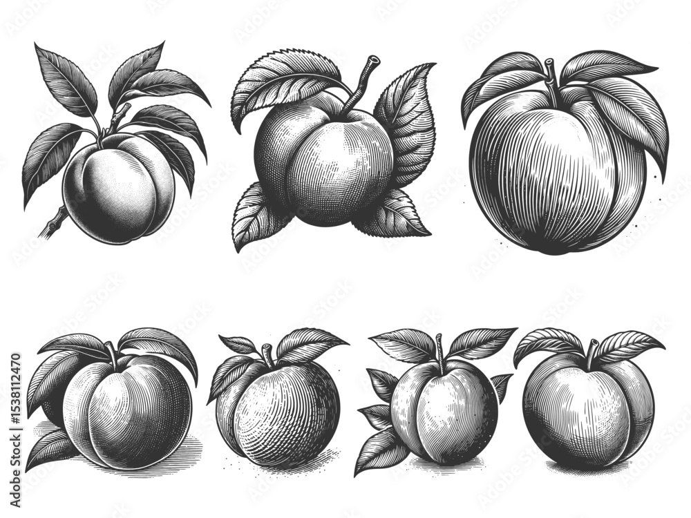 Poster peach set collection bundle sketch engraving generative ai vector illustration. scratch board imitat