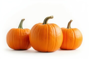 Halloween pumpkins isolated on white