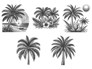 palm tree Set collection bundle sketch engraving generative ai vector illustration. Scratch board imitation. Black and white image.