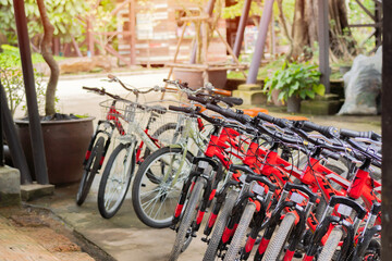 Many bicycles parked at a public bike in a countryside resort. Bike parking in garden.